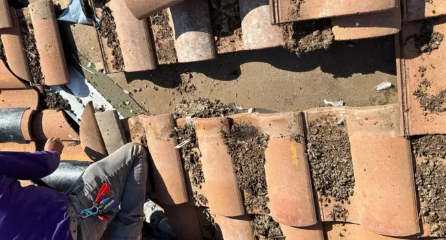 Roof Repair