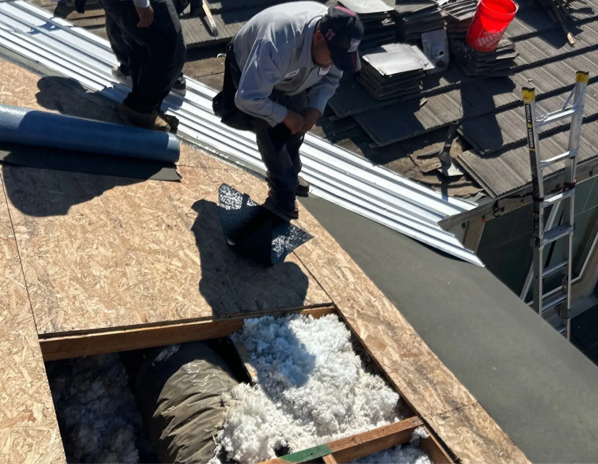 Dry Rot Repair Dry Rot Repair