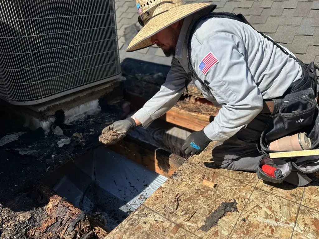 Fix Dry Rot