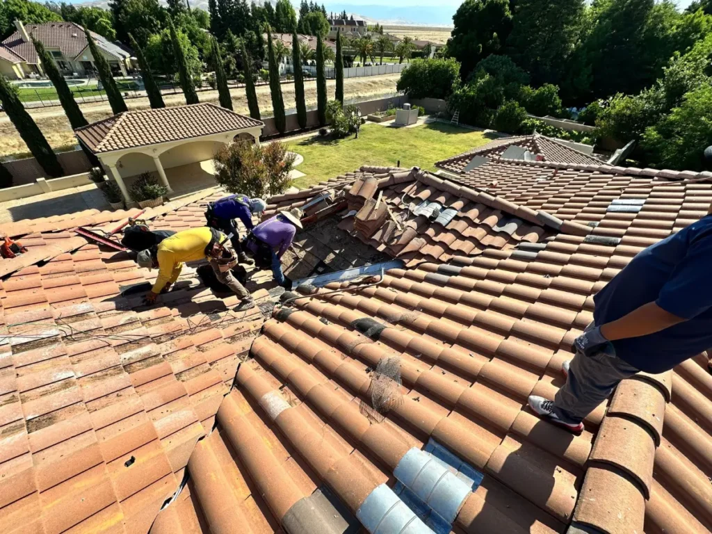 Pigeon Poop Roof Damages