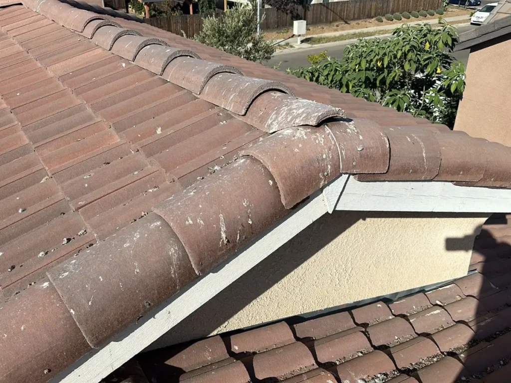 Newer home 93737 area roof problems