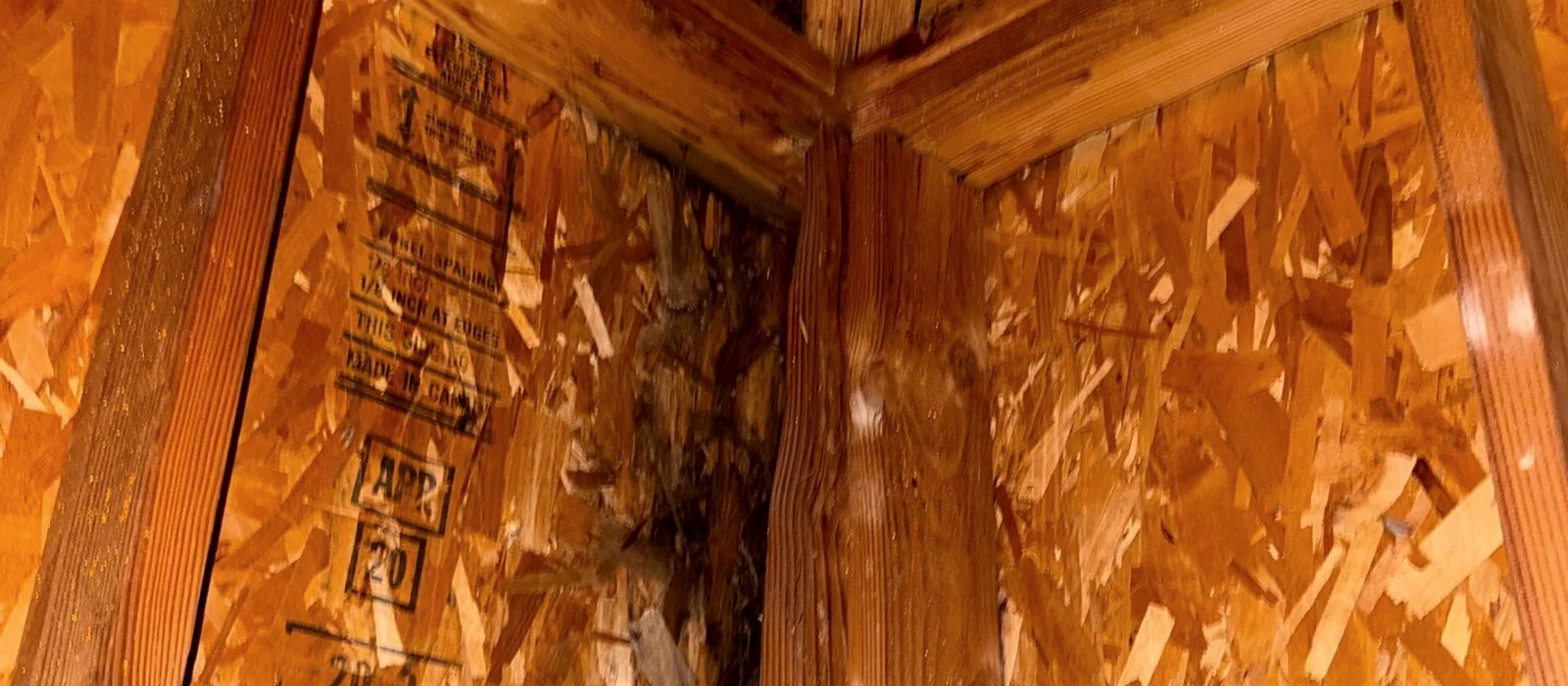 Water staining and deteriorated sheathing seen from inside an attic where two roof planes meet