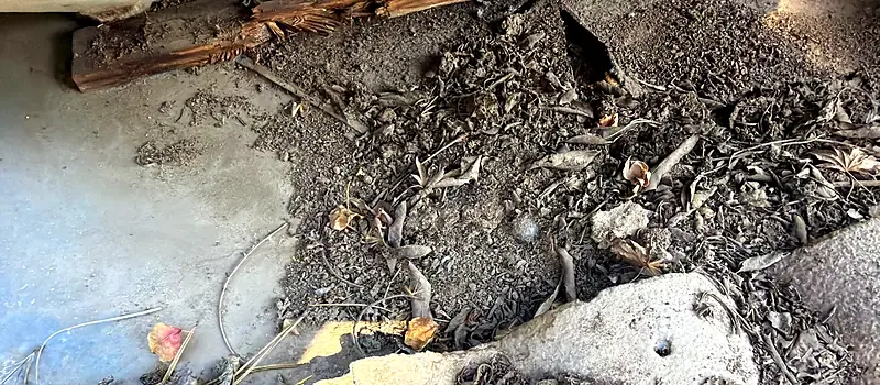 Concrete tile removed on a Fresno roof, showing a split wooden batten and underlayment buried under packed debris
