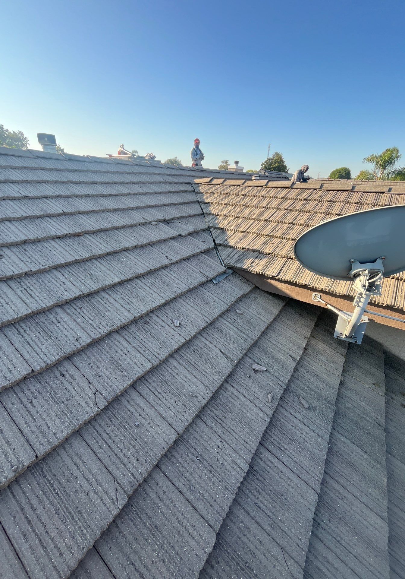 shingle roofing