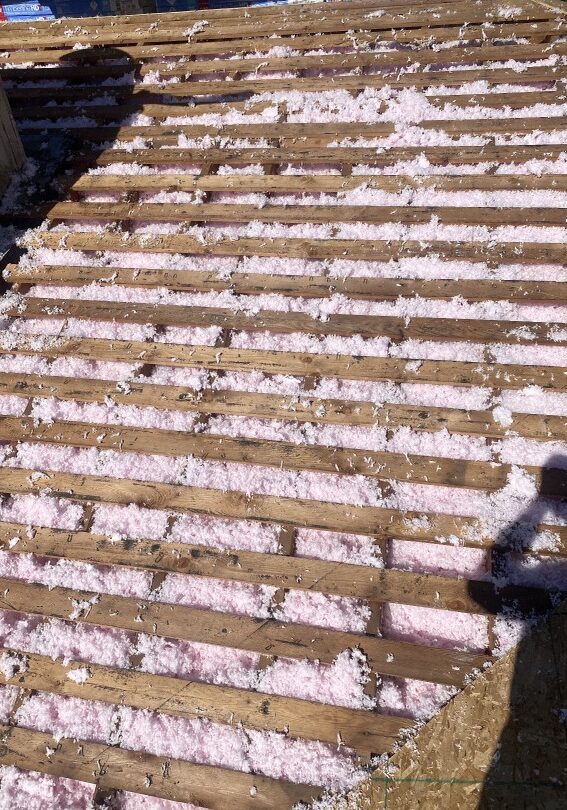 dry rot in the roof