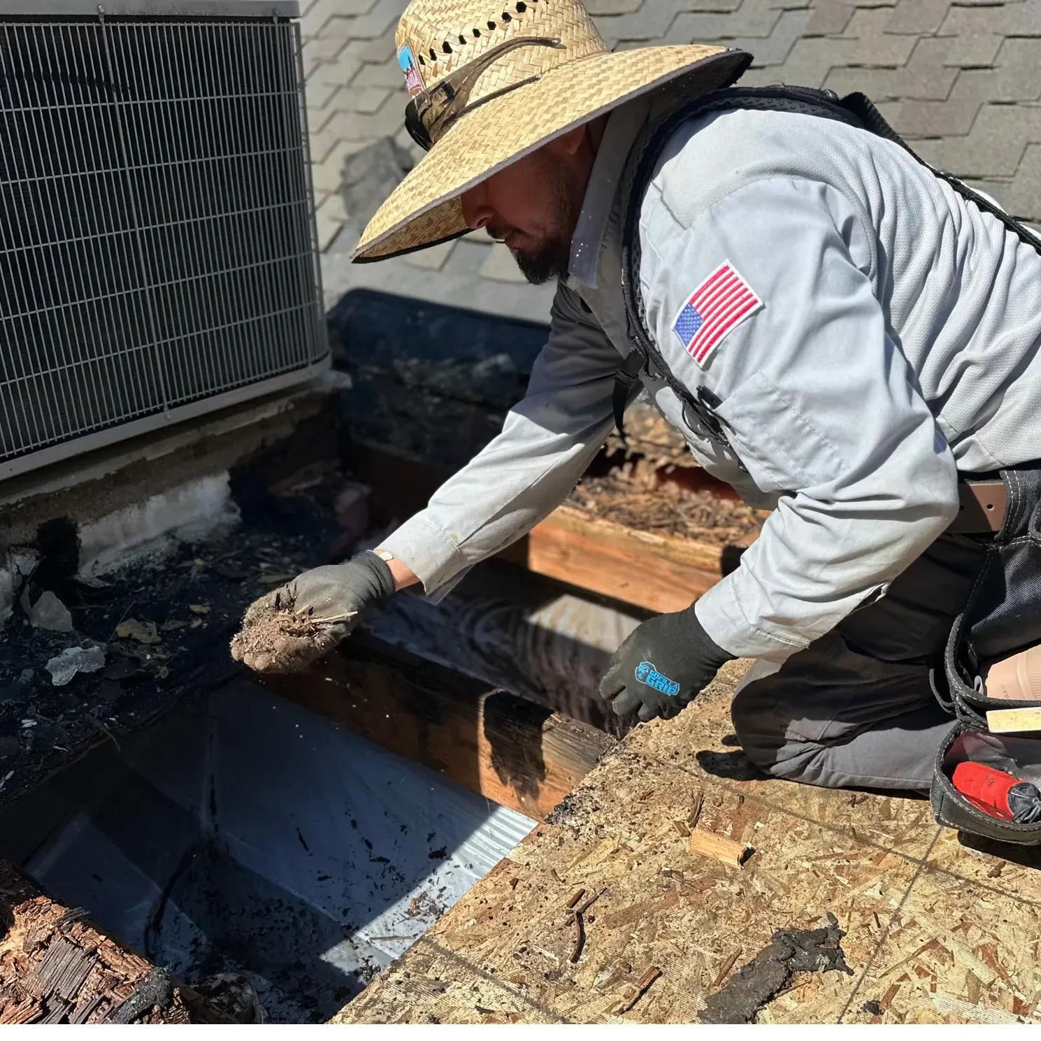 Dry Rot Repair Fresno CA