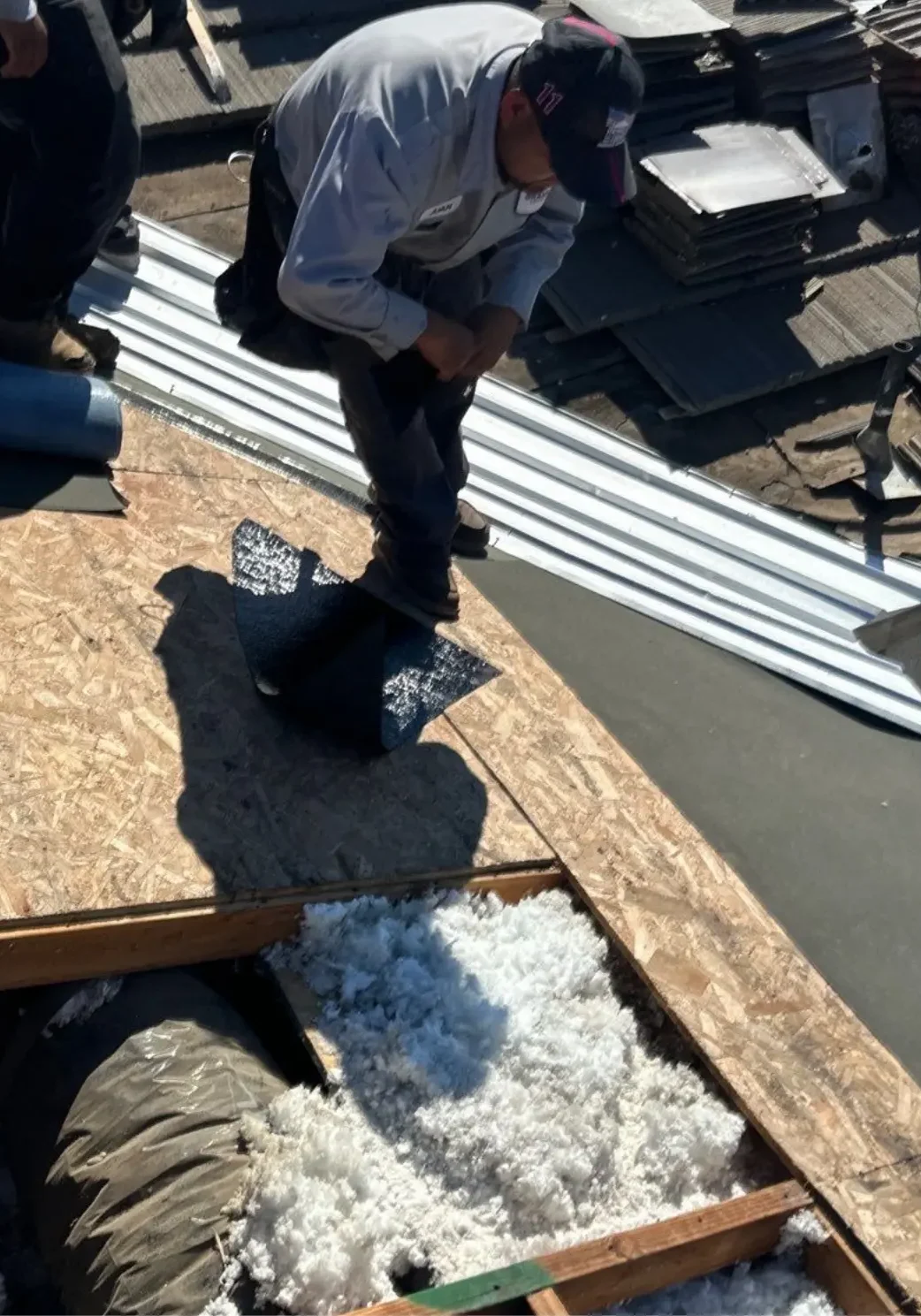 Dry Rot Repair