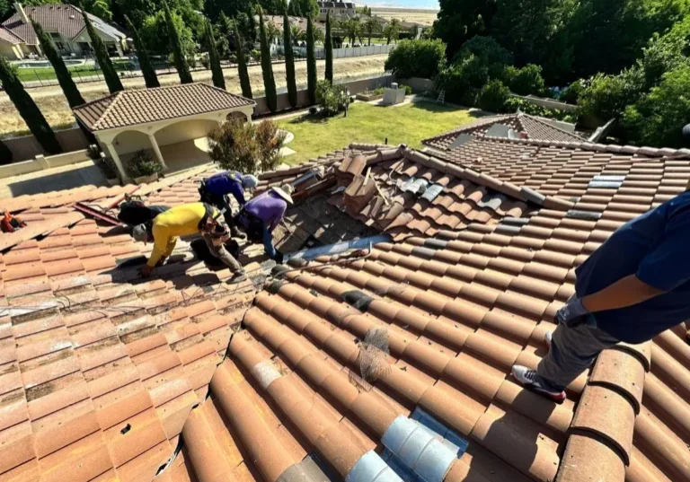 Pigeon Poop Roof Damages