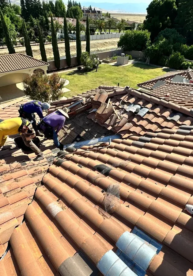 Pigeon Poop Roof Damages