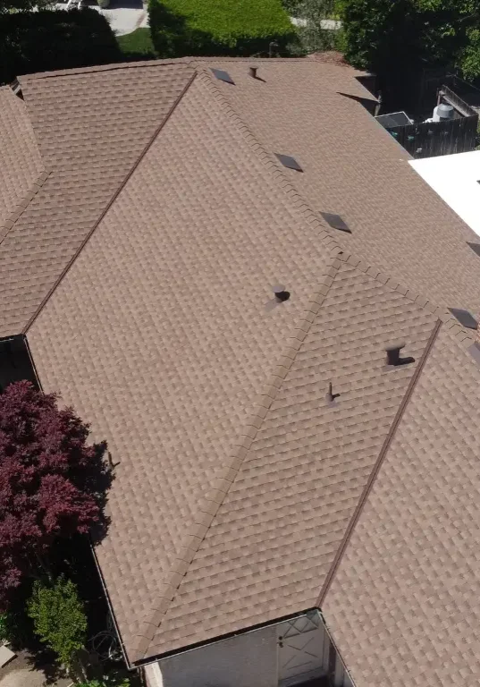 Shingle Roofing Shingle Roofing